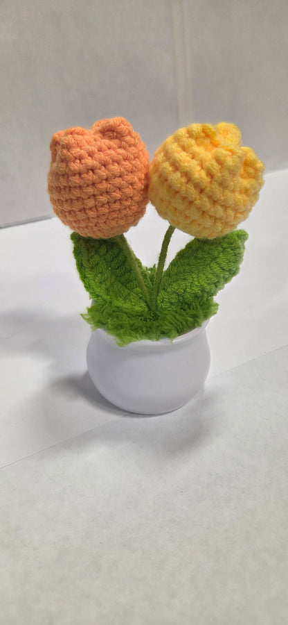 Crochet Tulip Flower Pots